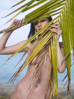 Anna Sbitnaya - Palm Tree - Photo 2 by Hegre