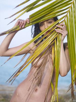 Anna Sbitnaya - Palm Tree - Photo 4 by Hegre