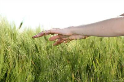 Emily Bloom - Green Fields of Home - Photo 41 by MPL Studios