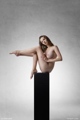 Mariposa - Art - Photo 9 by Femjoy