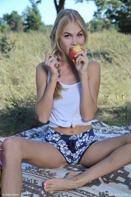 Nancy Ace - Picnic - Photo 19 by Femjoy