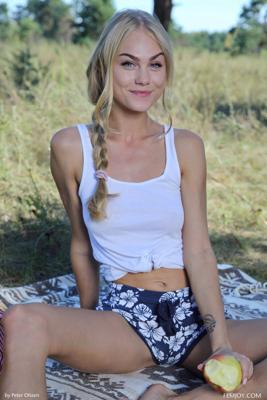 Nancy Ace - Picnic - Photo 20 by Femjoy