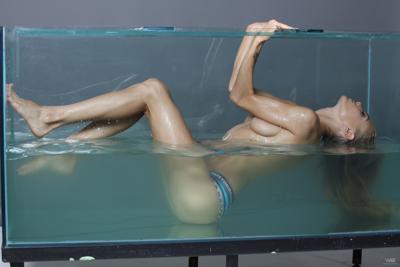 Aquarium preview - Image 4