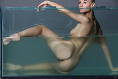 Nancy Ace - Aquarium - Photo 33 by Watch4Beauty