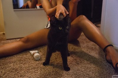 Noelle Monique - Black Cats Rule - Photo 40 by Zishy