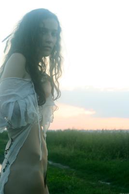 Vivendi preview - Image 4